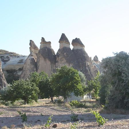 Anatolia Cave Hotel Pension Göreme Eksteriør bilde
