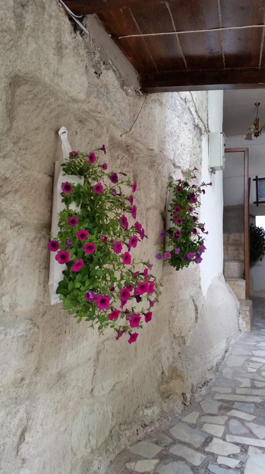 Anatolia Cave Hotel Pension Göreme Eksteriør bilde