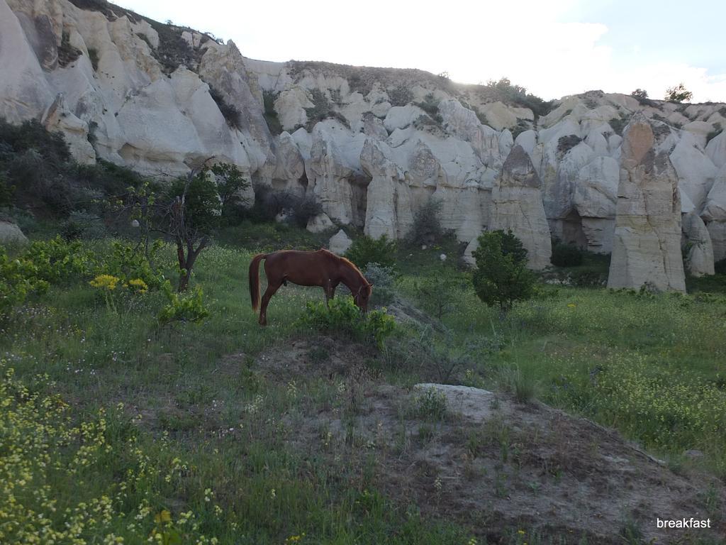 Anatolia Cave Hotel Pension Göreme Eksteriør bilde